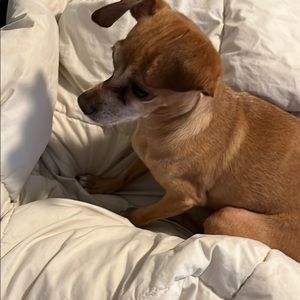 Meet your Posher, Aaron